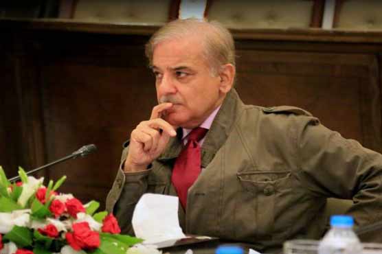 اورنج لائن منصوبے کے سیاسی مخالفین کو منہ کی کھانا پڑی، شہباز شریف