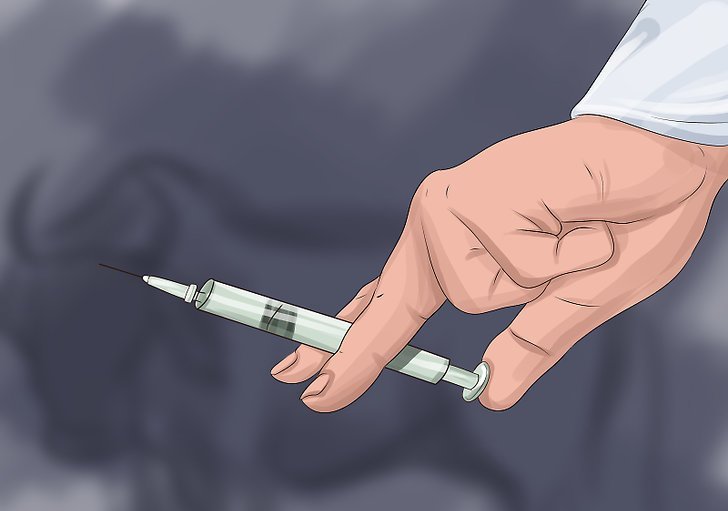 بھینسوں کا دودھ بڑھانے والا ٹیکہ  عدلیہ کا پابندی لگانا دیر آید درست آید