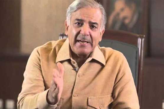 دھرنا گروپ کے رہنما نے ہر موقع پر جھوٹ بول کر اپنی ساکھ خراب کی۔ شہباز شریف