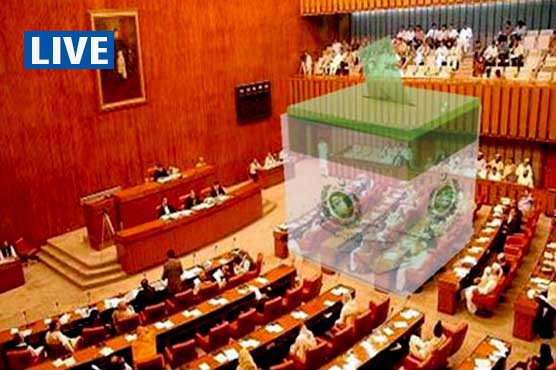 سینیٹ انتخابات: وفاق اور پنجاب میں مسلم لیگ ن کے حمایت یافتہ امیدواروں نے میدان مار لیا