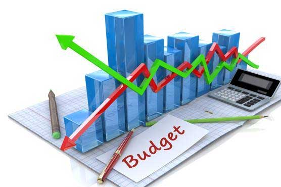 وفاقی بجٹ: غیرملکی سرمایہ کاروں کی حوصلہ افزائی کے لیے ٹیکس میں کمی کی تجویز