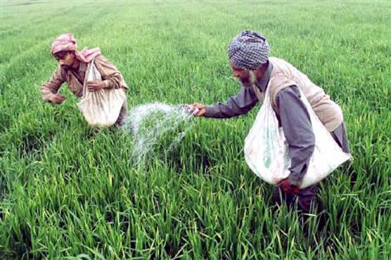 بجٹ 2019 : کھاد پر عائد سیلز ٹیکس میں کمی کا امکان