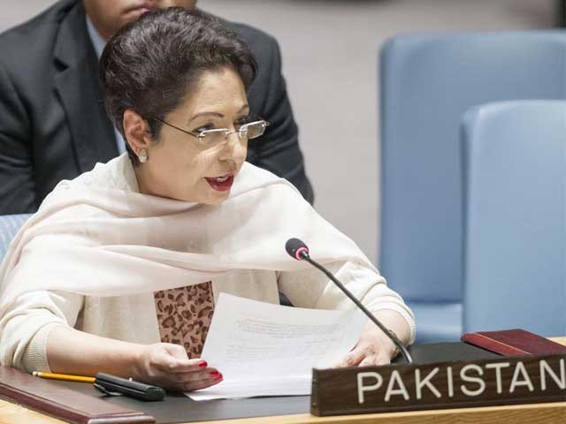 پاکستان میں جمہوریت کیلئے اب سیاسی و عسکری سطح پر مکمل اتفاق رائے ہے، ملیحہ لودھی