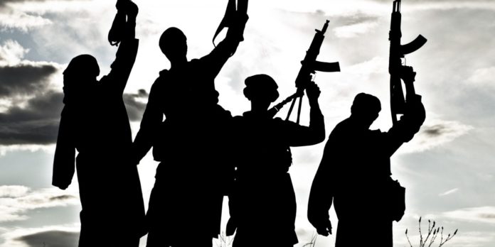 دہشت گردی، اپنی غلطی