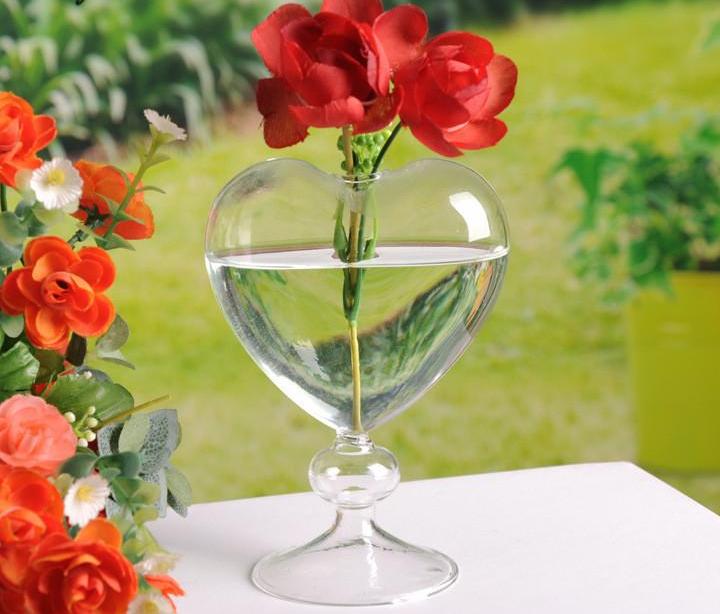 ہم اور کانچ کا گلدان