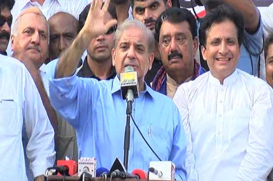 شیر پر مہر لگا کر نواز شریف اور مریم کو جیل سے باہر لانا ہے۔ شہباز شریف