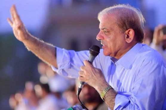 ووٹ کے تقدس کو چوٹ پہنچی تو جان لڑا دوں گا، شہباز شریف