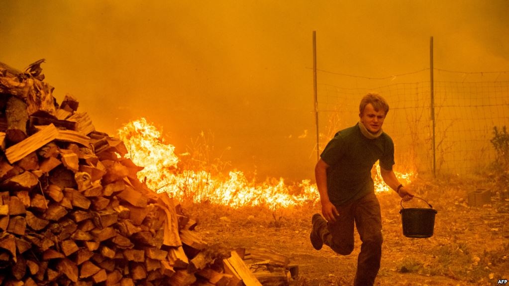 California Forest Fire