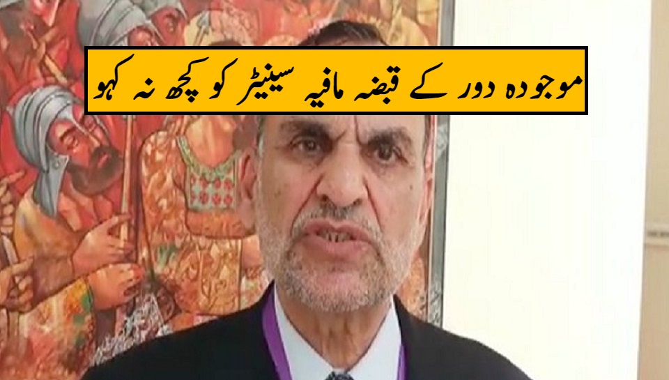 موجودہ دور کے قبضہ مافیہ سینیٹر کو کچھ نہ کہو