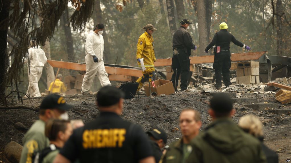 کیلی فورنیا کے جنگلات میں آگ، لاپتا افراد کی تعداد 600 ہو گئی