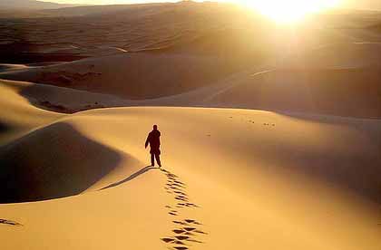 پھر پلٹ کر نہ آنے والے ہیں