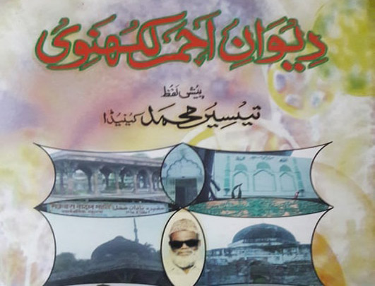 دیوان احمر لکھنوی