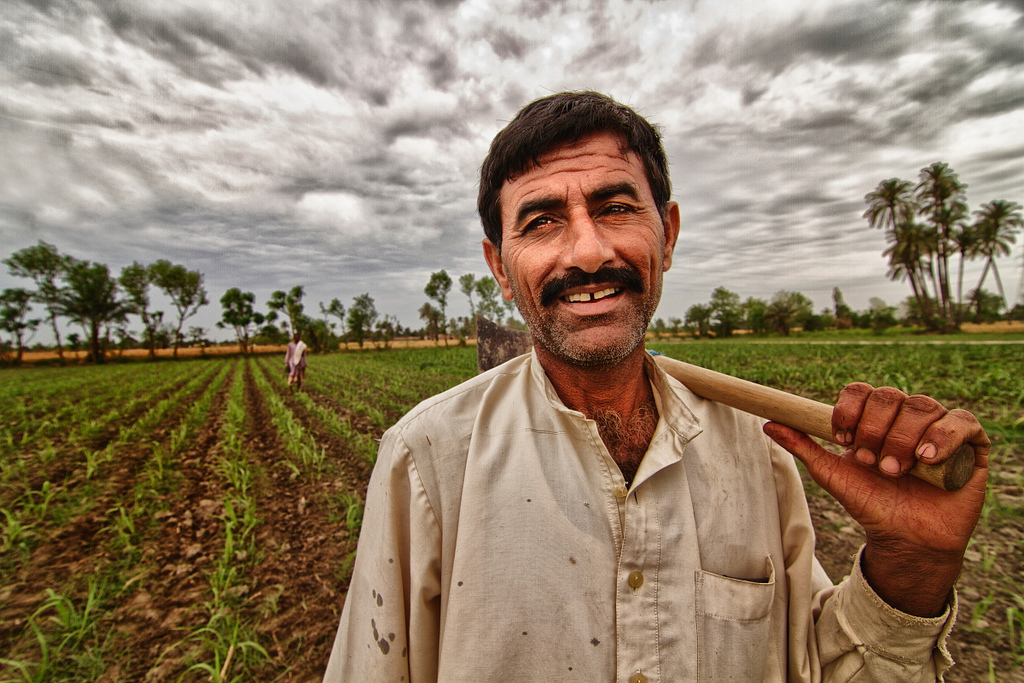 کاشتکار حکومتی توجہ کے منتظر