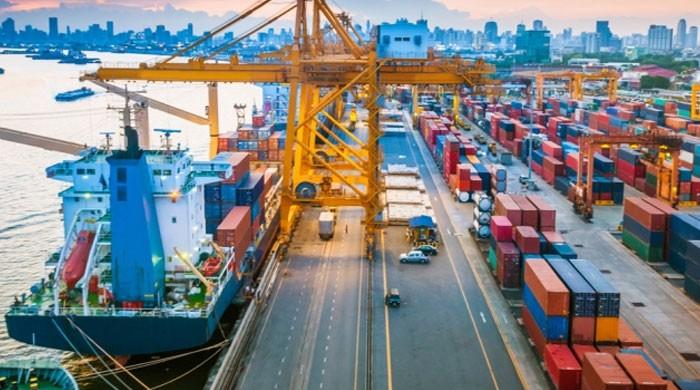 چین نے 313 پاکستانی مصنوعات کو اپنی مارکیٹ میں ڈیوٹی فری رسائی دیدی