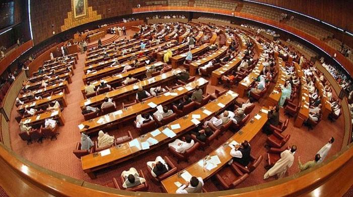 قومی اسمبلی میں آئندہ مالی سال 20-2019 کا بجٹ منظور