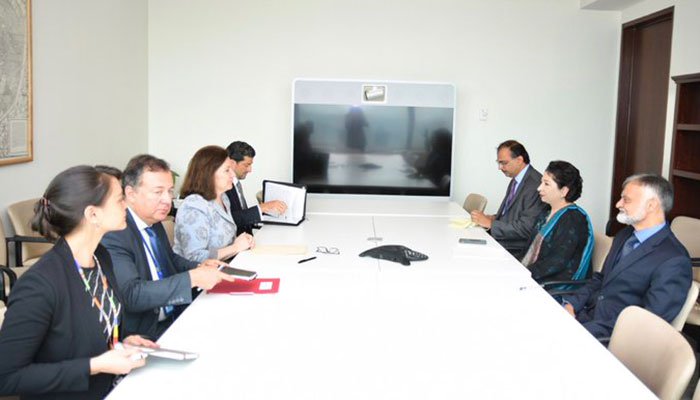 اقوام متحدہ: پاکستان کا مقبوضہ کشمیر میں انسانی حقوق کی پامالی پر انکوائری کمیشن کا مطالبہ