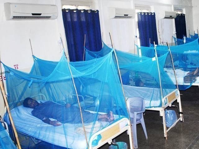Dengue Patients