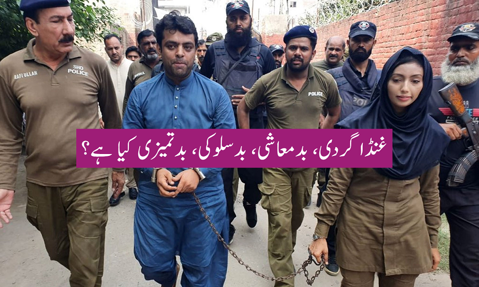 وکیل کا خاتون پولیس اہلکار کو  تھپڑ۔۔۔؟؟؟