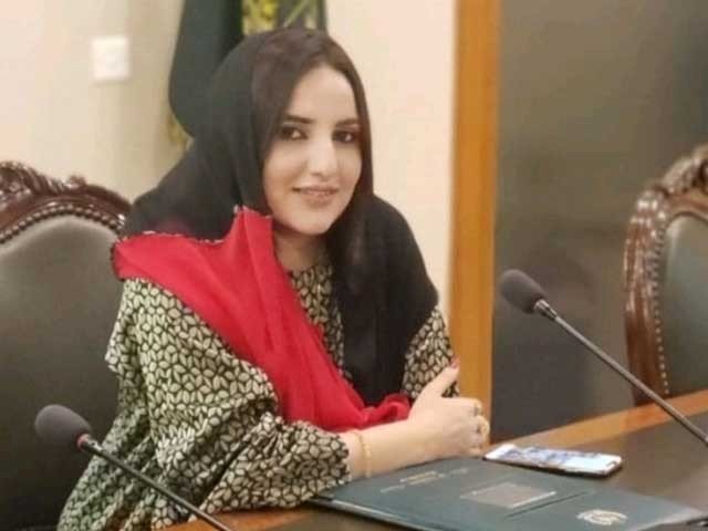 حریم شاہ کی دفتر خارجہ میں داخل ہونے کی ویڈیو پر تنازع