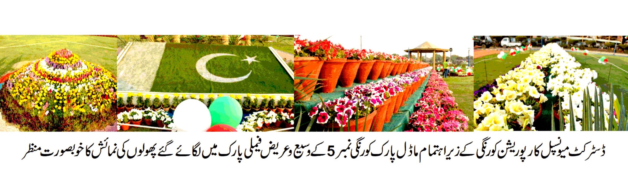 DMC کورنگی “فلاور شو اینڈ فیملی فیسٹیول ” کا تیسرا دن