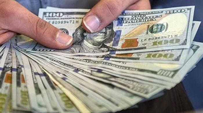 پاکستان میں ڈالر کی اونچی اڑان کا سلسلہ جاری