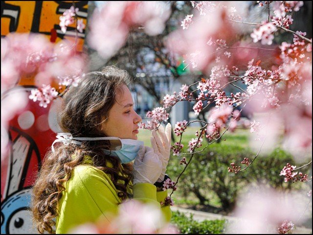 سونگھنے کی حس کا اچانک خاتمہ کورونا وائرس کی وجہ سے بھی ہو سکتا ہے، ماہرین