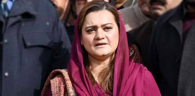 ایک عہدہ لے کر دوسرا دینا عوام کو بیوقوف بنانے کے مترادف ہے: مسلم لیگ ن