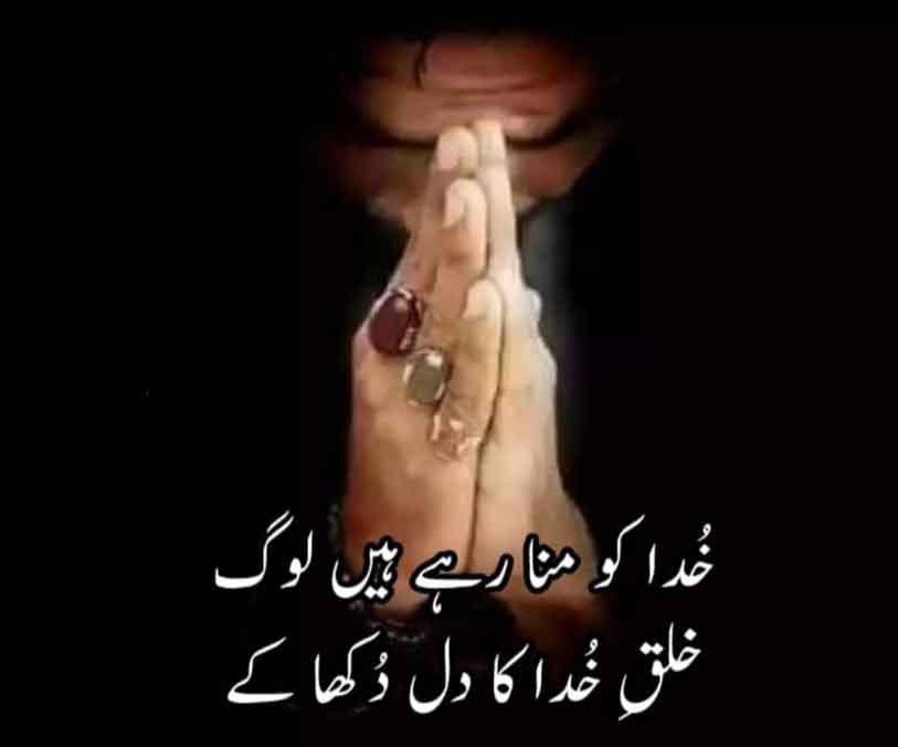 میری دنیا میری مرضی