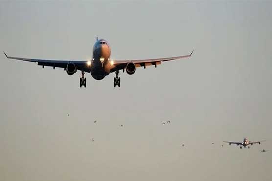 International Flights