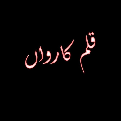 ہوتا ہے جادہ پیما پھر کارواں ہمارا