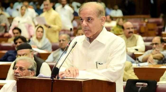 شہباز شریف کو بجٹ اجلاس میں شرکت کا رسک لینا پڑے گا: احسن اقبال