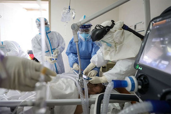 احتیاطی تدابیر کے باعث ہلاکتوں میں کمی، 24 گھنٹے میں 31 اموات، 1587 افراد متاثر