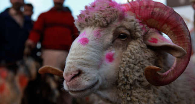 سکھائے کس نے اسماعیل کو آداب فرزندی