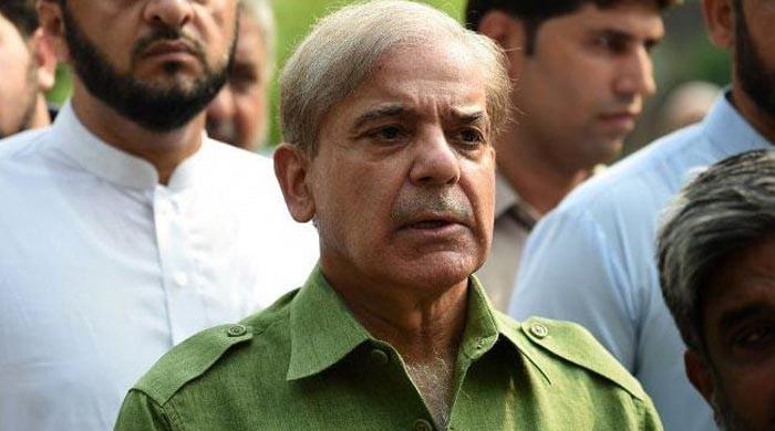 ایل او سی پر فائرنگ سے مقبوضہ کشمیر میں انسانیت کے خلاف جرائم چھپ نہیں سکتے۔  شہباز شریف