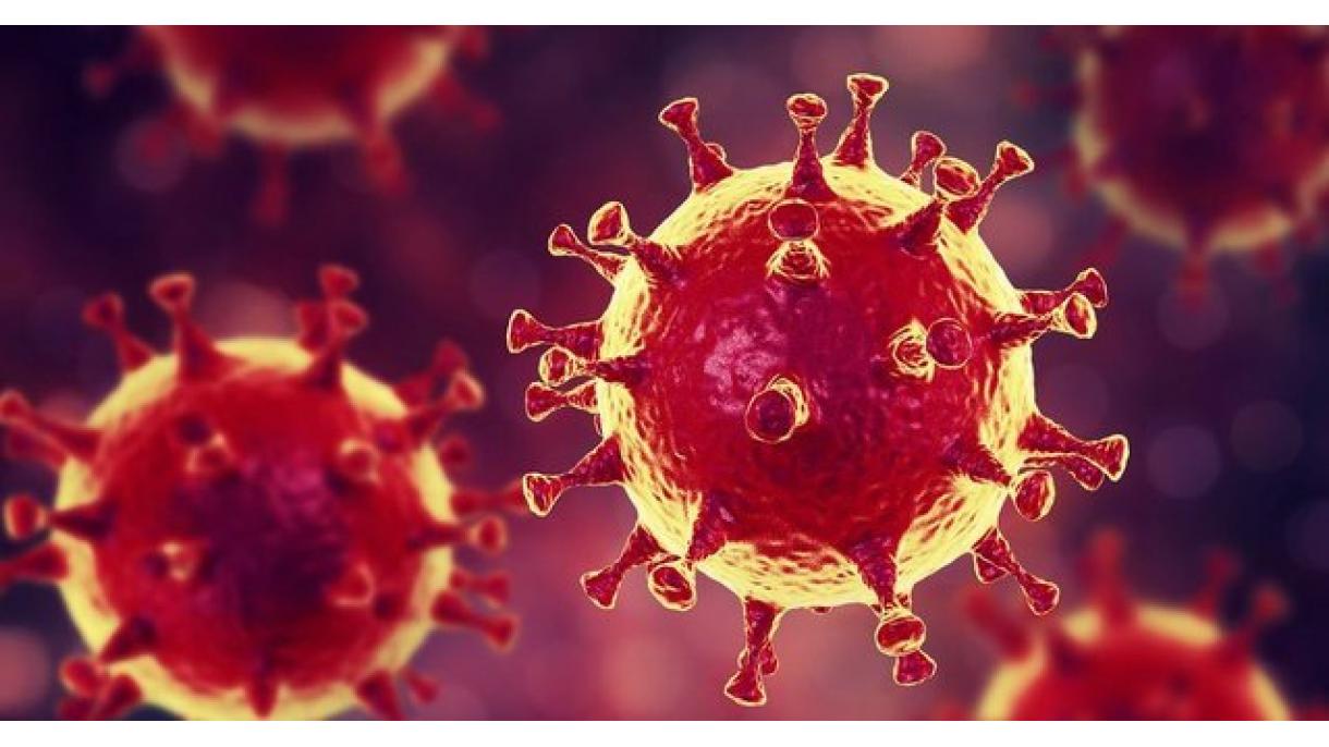 Coronavirus