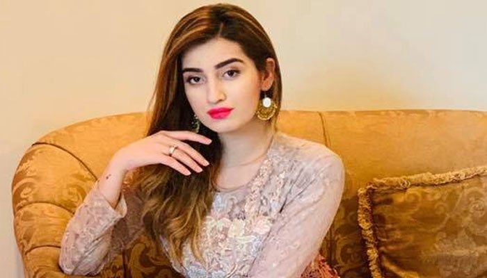 ڈاکٹر ماہا نے 2018 میں بھی جنید کی وجہ عمارت سے کودنے کی کوشش کی: پولیس