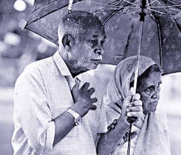 وراثت کے ڈاکو