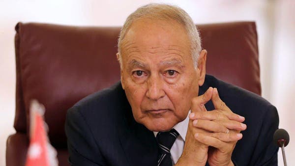 ایران اور ترکی کی مداخلت سے پوری عرب دنیا کی سلامتی خطرے میں ہے: ابو الغیط