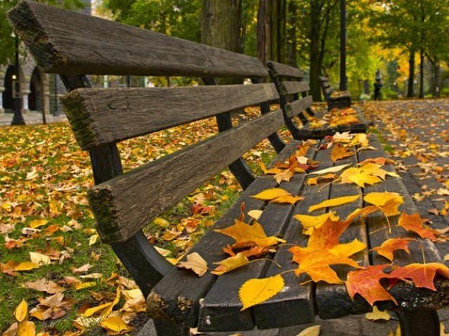 خزاں کے بعد!