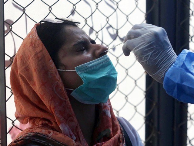 کورونا نے مزید 40 جانیں لے لیں، جاں بحق افراد کی تعداد 8025 ہو گئی