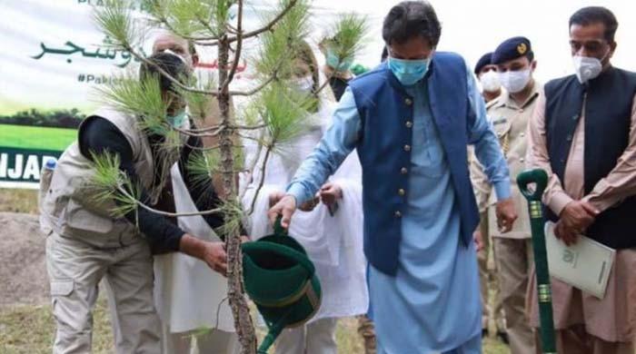 بلین ٹری منصوبے کی تمام تفصیلات سپریم کورٹ میں پیش کرنے کا فیصلہ