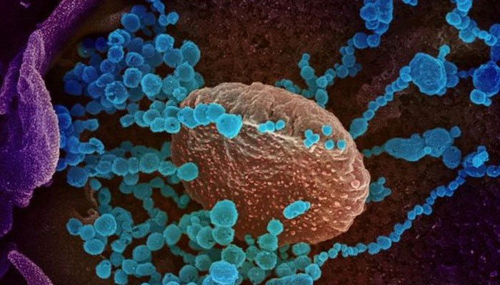 زیادہ خطرناک اور تیزی سے پھیلنے والی کورونا کی نئی قسم دریافت