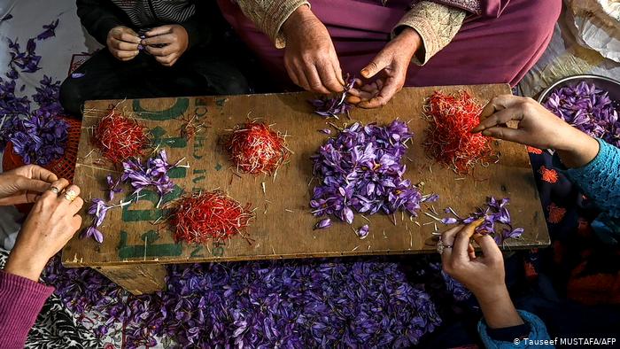 کیا کشمیر میں نئے قوانین کا مقصد ہندو آبادکاری بڑھانا ہے؟