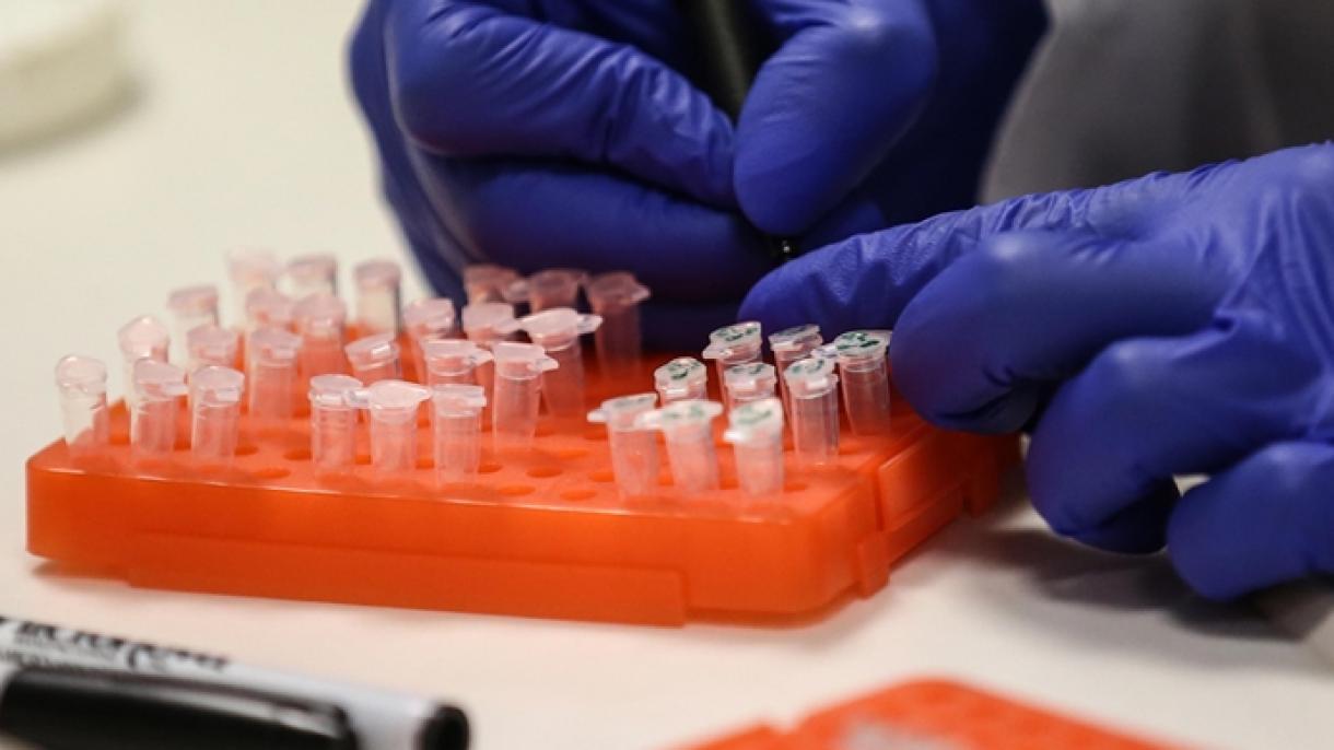 کورونا وائرس چین کی کسی لیبارٹری سے انسانوں تک نہیں پھیلا، عالمی ادارہ صحت