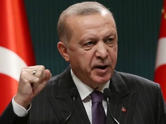 صدر اردوان نے ترک شہریوں کے قتل پر امریکی بیان مسترد کر دیا