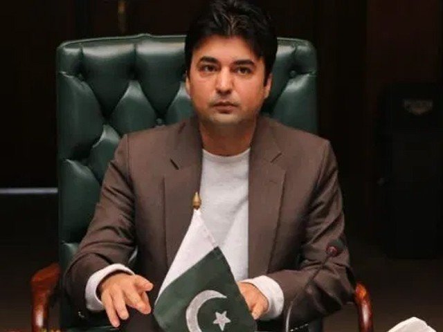 سیاست بچانے کیلیے پاکستان کیخلاف نعرے نہ لگائیں، مراد سعید