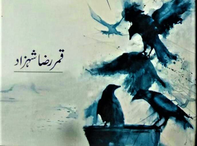 ملک سخن کا شہزادہ	قمر رضا شہزاد