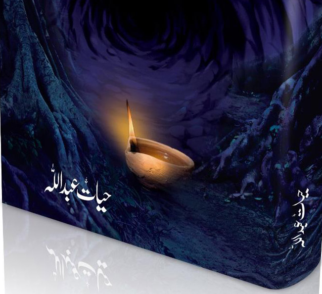 شعور حیات کا شاعر حیات عبداللہ