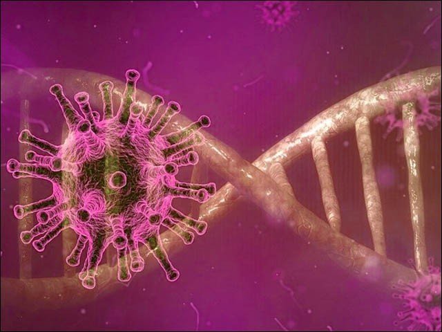 پاکستان میں ویکسین کو بے اثر کرنے والے دو قسم کے کورونا وائرس کی تصدیق