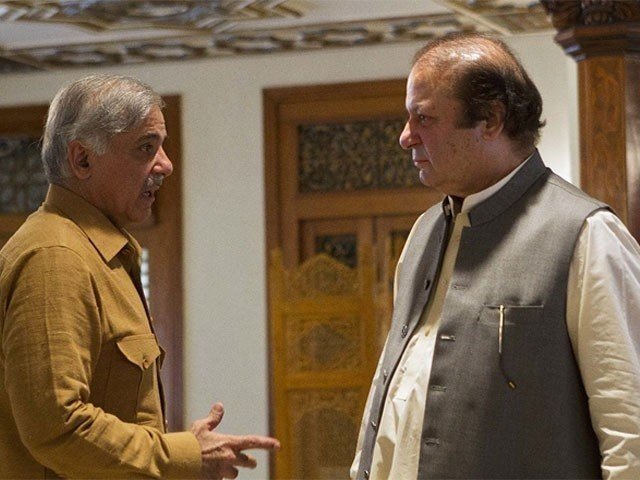 کشمیر میں انتخابی مہم مریم چلائیں گی، نواز شریف کی شہباز شریف کو ہدایت